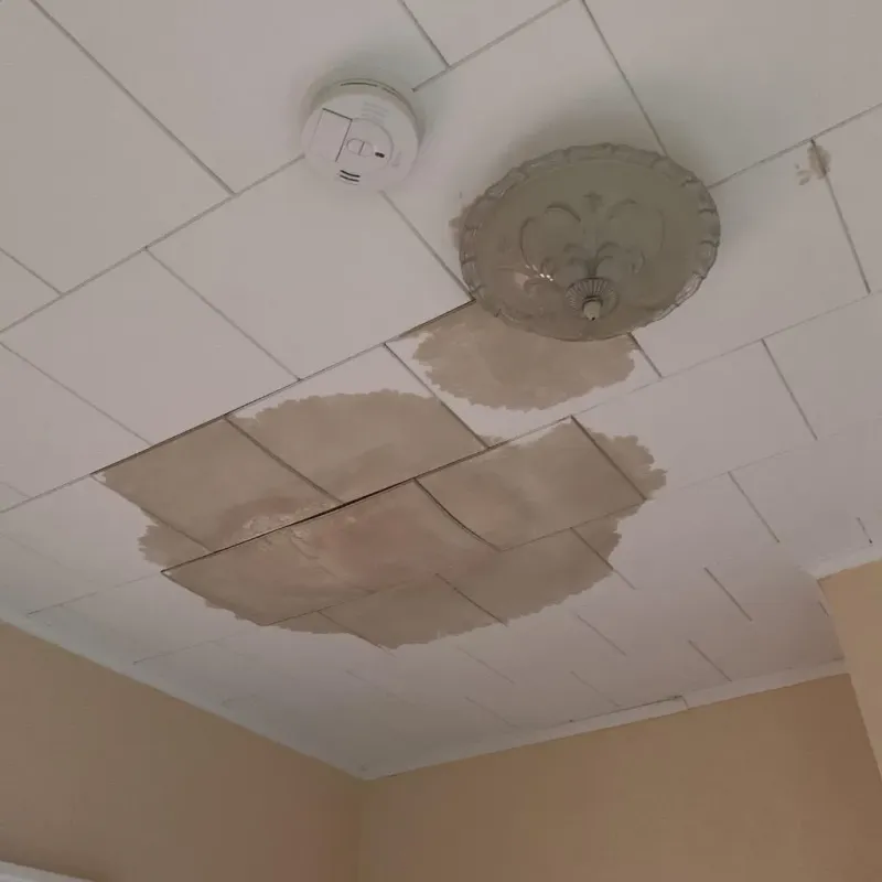 Ceiling Water Damage Repair in Pilot Mountain, NC