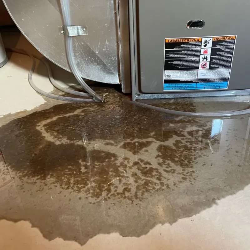 Pipe Burst and Leak Restoration in Pilot Mountain, NC