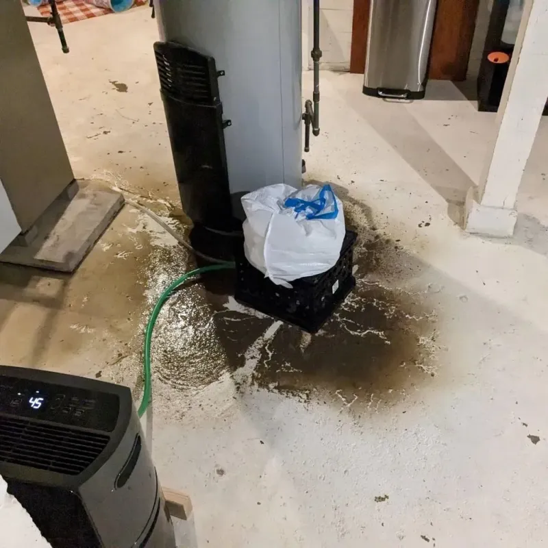 Sewage Backup Cleanup Service in Pilot Mountain, NC